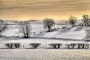 Snow shadows